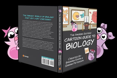 Grades 9-12 Amoeba Sisters Biology Bundle image 7