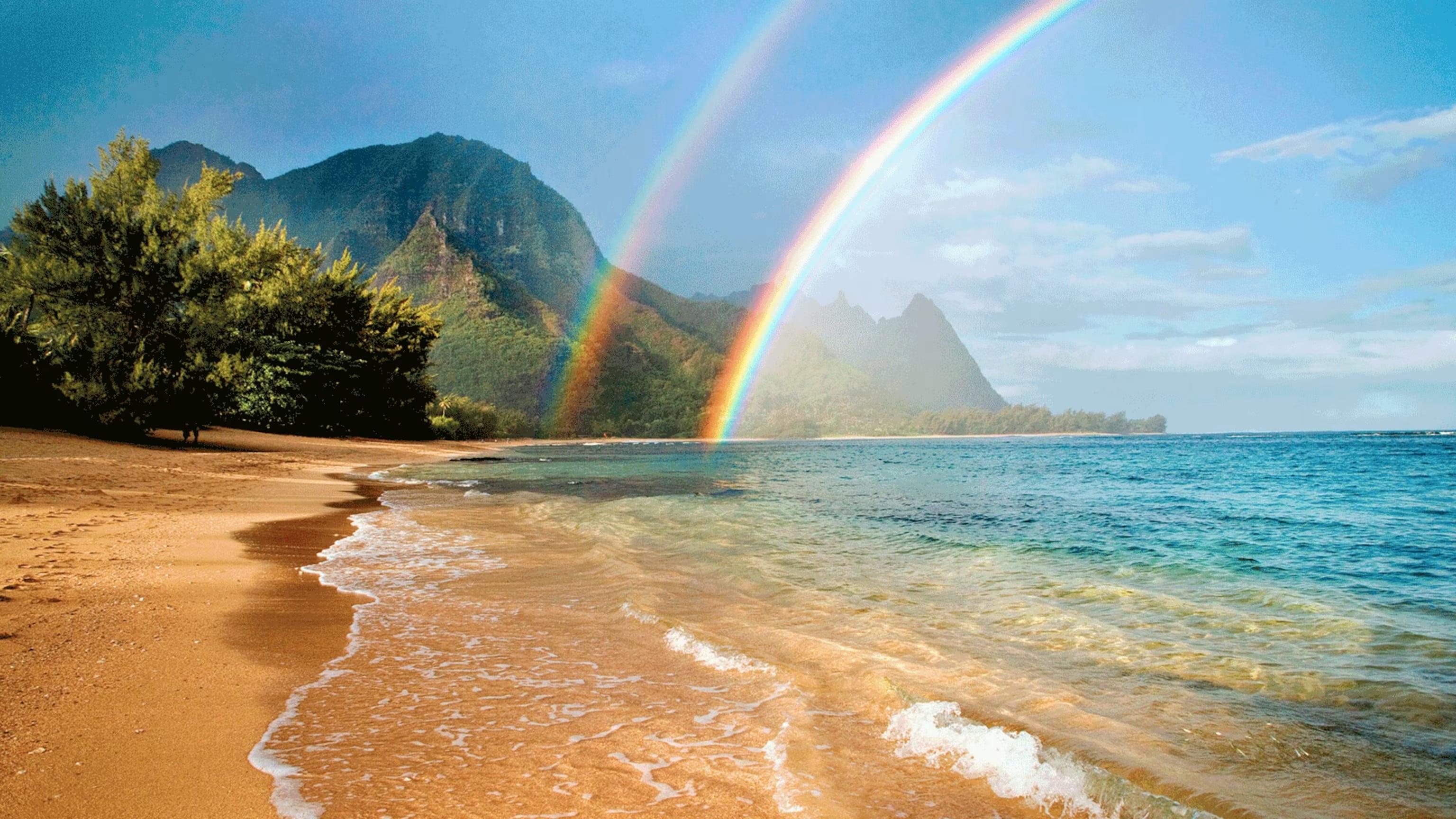 Free Hawaiʻi Science Lesson Resources and On-Demand PD for Teachers