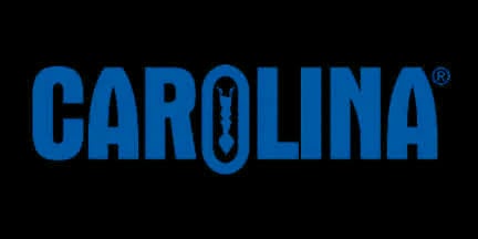 Carolina